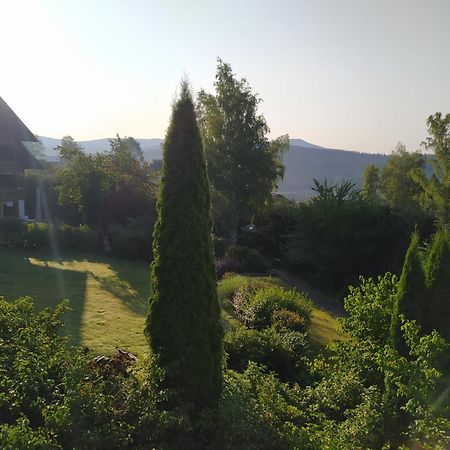 Apratman Julie - Bavorska Ruda Apartment Bayerisch Eisenstein Bagian luar foto