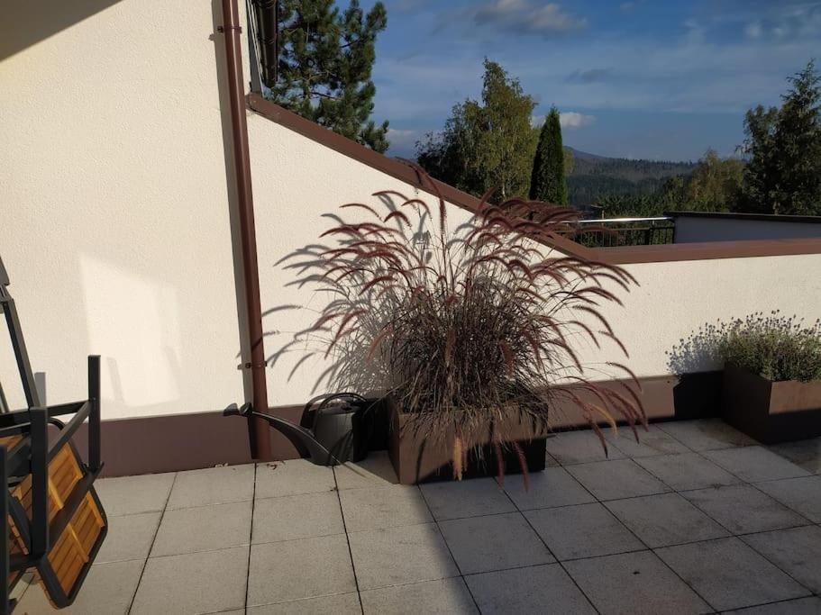 Apratman Julie - Bavorska Ruda Apartment Bayerisch Eisenstein Bagian luar foto